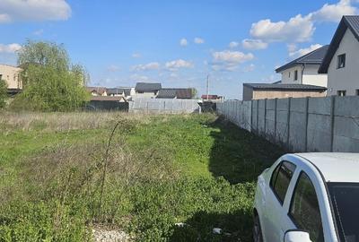 1000mp in cartierul florilor,Magurele,Ilfov - 2
