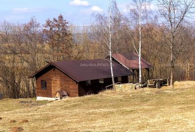 Teren Construcții intravilan de 5967 mp, în Bran - 4