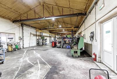 Hale depozitare/produc?ie 2.000 mp si 10.000 mp teren in Pecica - 15