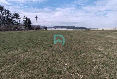 Teren intravilan de 6775 mp, în Bartolomeu - 9