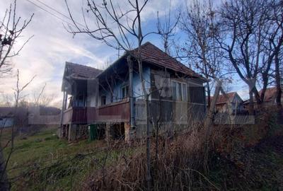 Casă cu 3 camere cu Teren 2700 Mp în Lechința - 4