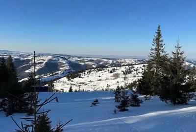 Teren de 700 mp, în Măguri - 2