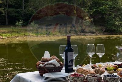 Spațiu comercial, de 510 mp, în Bisoca - 2