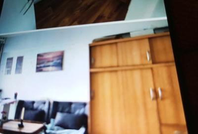 Dau in chirie garsoniera Cluj ultracentral, zona Teatru National - 2