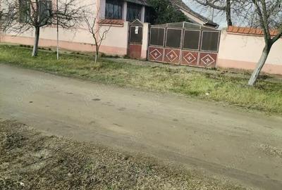 Casă cu 3 camere cu Teren 1500 Mp în Secusigiu - 3