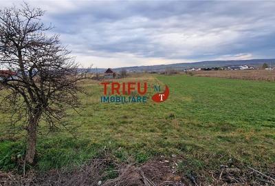 Teren 2160mp în  Partoș - 11