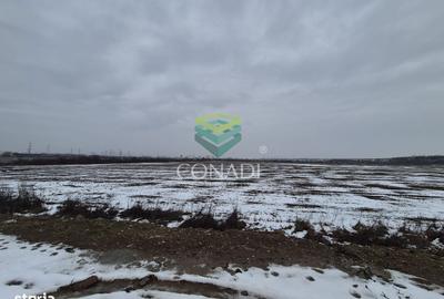 Spațiu comercial, în Glina - 3