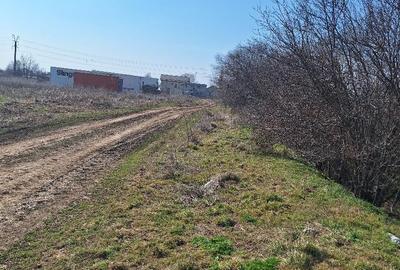 Crevedia - teren 10.000 mp. intravilan Crevedia - teren 10.000 mp. intravilan - 8