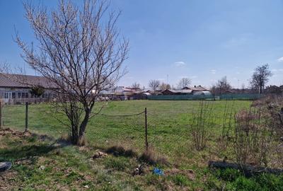 Spațiu comercial, în Săveni - 5