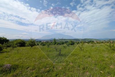 Teren intravilan de vanzare  2.444 mp - Targu Lapus - 3