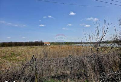 Teren de 7000 mp, în Girov - 3