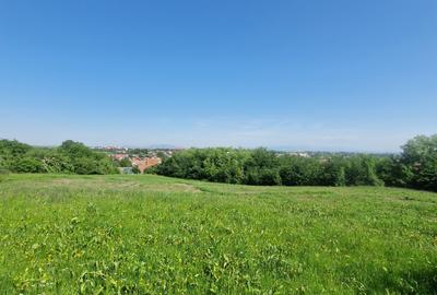 Teren intravilan – 3.101 mp, Tărlungeni, Brașov – ideal pentru casă de vacanta - 12