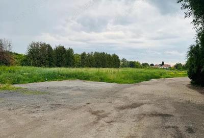 AV645 Teren 5000mp, de INCHIRIAT, zona FREIDORF - 1