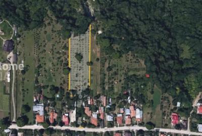 Teren de 4898 mp, în Cornu - 3