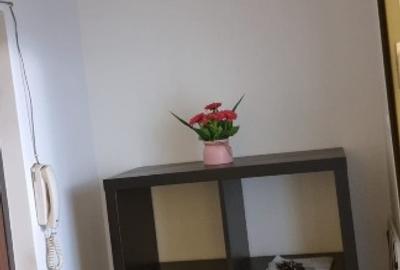 Garsoniera oltenitei sun plazza - 4