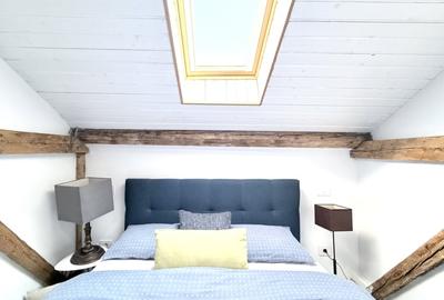 Apartament cu 2 camere decomandat, mobilat în Bălcescu - 19