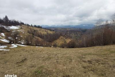Teren de 19000 mp, în Moieciu - 4