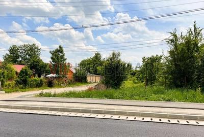 Balotesti - Caciulati, teren intravilan, suprafata 2.596 mp - 3