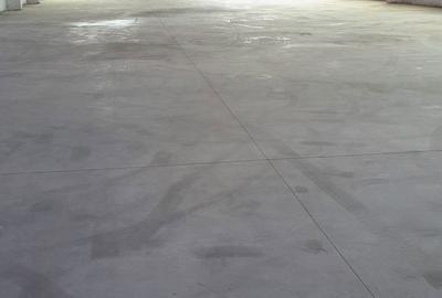 Spațiu comercial, de 60,000 mp, în Orțișoara - 2