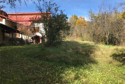 Casă cu 3 camere cu Teren 3000 Mp în Gorganu - 1