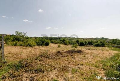 Teren de 1200 mp, în Paleu - 3