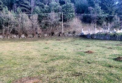 Teren 719 mp la liziera pădurii – Întorsura Buzăului | Fezabilitate demonstrată - 1