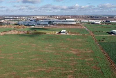 Teren Industrial in Giarmata, langa Hella Corporate Center - 3