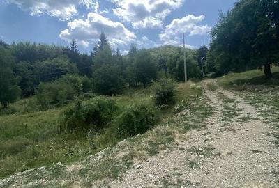Teren de 1000 mp, în Breaza de Sus - 1