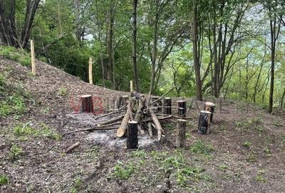 Teren intravilan de 7280 mp, în Mihăești - 10