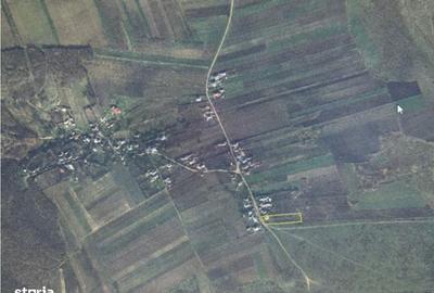 Casă cu 3 camere în Covrag - 1