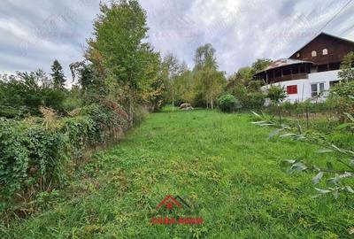 Teren intravilan in Poiana Campina --3676 mp--8e - 2