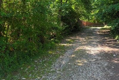 Oportunitate Imobiliară: Teren intravilan cu deschidere la strada si utilitati - 4