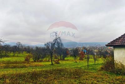 Teren de 4627 mp, în Unguraș - 8