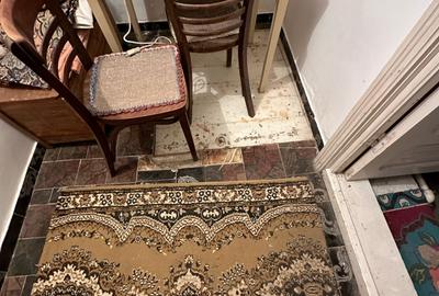 Casa 4 camere - Comuna Greci - TULCEA - 85.000 euro (Cod E9) - 15