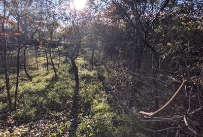 Casă de vânzare, 800 mp teren, Dâmbu Rotund aproape de Dedeman și de gară Casă de vânzare, 800 mp teren, Dâmbu Rotund aproape de Dedeman și de gară - 13