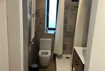 Inchiriere Studio Ultracentral Gradina Icoanei - 2