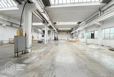 Hala industriala cu pod rulant, Sanicolau Mic, suprafata 1.187 mp - 1