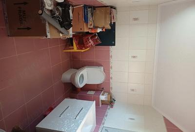 Casă cu Teren 1170 Mp în Cionchești - 8