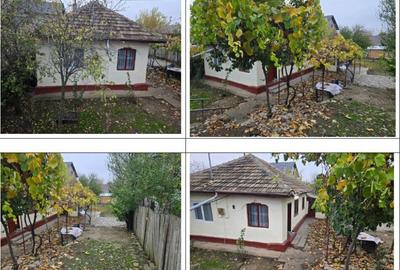 Cota de 1/2 din casa si teren, Loc Urziceni, Jud Ialomita - 6