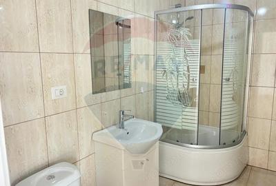 Spa?ii de Birouri, de Inchiriat Zona Io?ia - 8