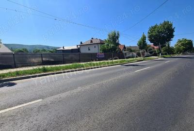 Teren de vanzare in Curtea de Arge? - 11