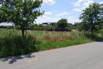 Teren Construcții intravilan de 16500 mp, în Teișori - 10