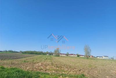 Teren de 4367 mp, în Hidiș - 2