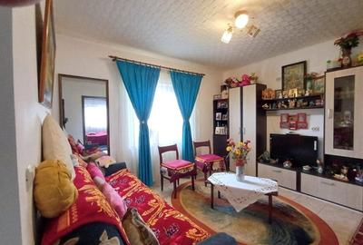 Casa 3 Camere, beci, magazie, mansarda - 500 mp Teren - 13