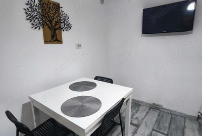 Apartament 4 camere, 2 bai, 2 balcoane pe Malul Timisului - 2