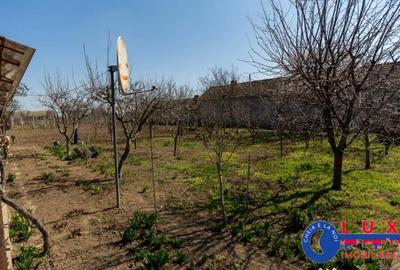 Casă cu 3 camere cu Teren 1461 Mp în Ceamurlia de Jos - 9