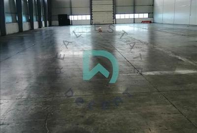 Vanzare hala industriala Brasov, Parc Industrial Prejmer - 43