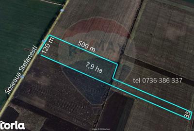 Teren de 79000 mp, în Dascălu - 2
