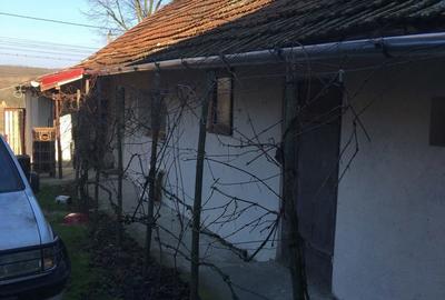 Casă cu 3 camere cu Teren 2000 Mp în Tirol - 10