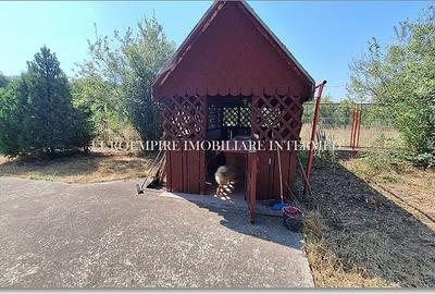Casa P+M de vanzare in Lazu - 7